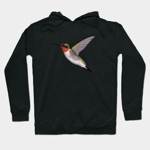 Hummingbird Bird Art Birdlover Birdwatcher Animal Hoodie by jzbirds